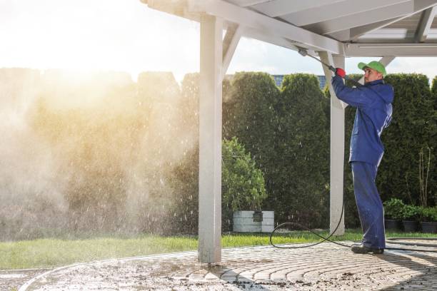 Best Pre-Holiday Cleaning  in Canton, TX