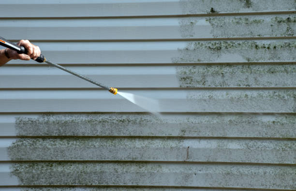 Best Solar Panel Cleaning  in Canton, TX