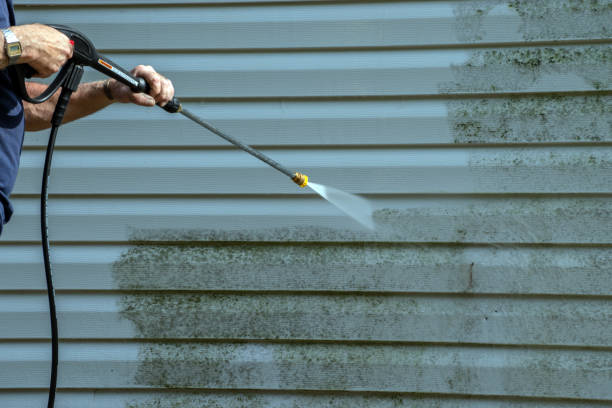 Best Driveway Pressure Washing  in Canton, TX